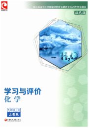 学习与评价九年级化学沪教版江苏教育出版社