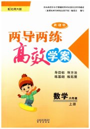 新课标两导两练高效学案六年级数学北师大版