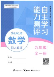 自主学习能力测评九年级数学人教版