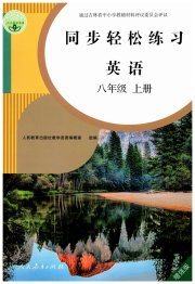 同步轻松练习八年级英语人教版