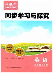 新课堂同步学习与探究九年级英语人教版