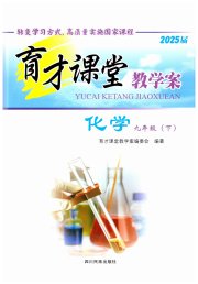 育才课堂教学案九年级化学人教版