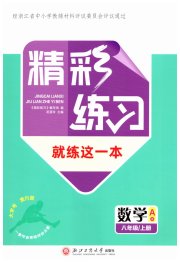 精彩练习就练这一本八年级数学浙教版评议教辅