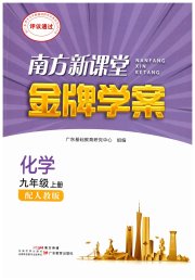 南方新课堂金牌学案九年级化学人教版