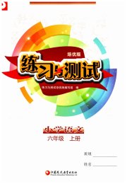 练习与测试六年级语文人教版培优版