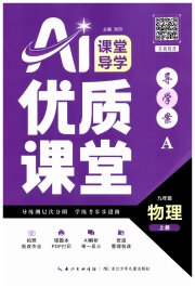 优质课堂导学案九年级物理人教版