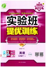 实验班提优训练九年级英语译林版