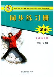 同步练习册陕西科学技术出版社九年级英语冀教版