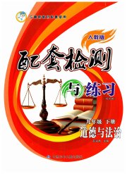 配套检测与练习九年级道德与法治人教版