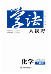 学法大视野九年级化学人教版