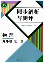 人教金学典同步解析与测评九年级物理人教版重庆专版