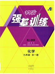 强基训练九年级化学人教版