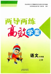 新课标两导两练高效学案六年级语文人教版