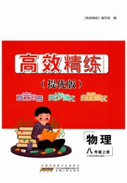 高效精练八年级物理苏科版