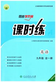 同步导学案课时练九年级英语人教版河南专版