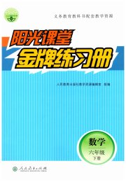阳光课堂金牌练习册六年级数学人教版