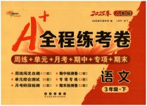 2025年A加全程練考卷三年級語文下冊人教版