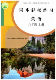 同步轻松练习八年级英语人教版