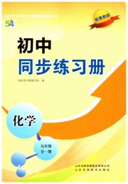 同步练习册山东科学技术出版社九年级化学鲁教版五四制