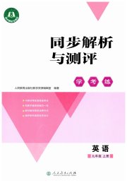 同步解析与测评学考练九年级英语人教版