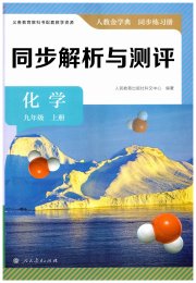 人教金学典同步解析与测评九年级化学人教版
