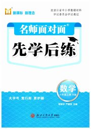 名师面对面先学后练六年级数学人教版评议教辅