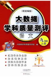 大数据学科质量测评九年级语文人教版