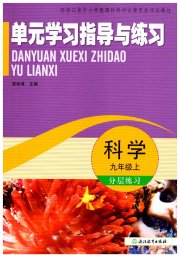 单元学习指导与练习九年级科学浙教版