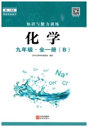 知识与能力训练九年级化学人教版B版