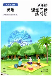 新课程课堂同步练习册九年级英语人教版