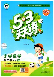 53天天练小学数学五年级人教版