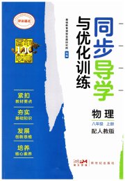 同步导学与优化训练八年级物理人教版