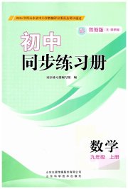 同步练习册山东科学技术出版社九年级数学鲁教版五四制
