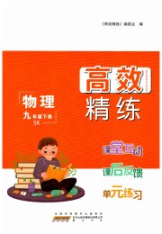 高效精练九年级物理苏科版