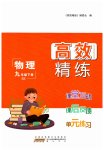 2026年高效精練九年級物理下冊蘇科版