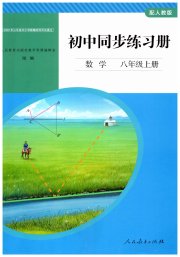 同步练习册人民教育出版社八年级数学人教版山东专版