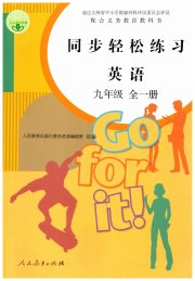 同步轻松练习九年级英语人教版