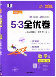 53全优卷七年级数学人教版