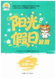 阳光假日暑假九年级化学人教版