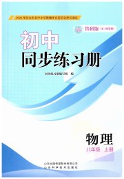 同步练习册山东科学技术出版社八年级物理鲁科版五四制
