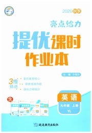 亮点给力提优课时作业本九年级英语译林版