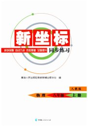 新坐标同步练习八年级物理人教版青海专用