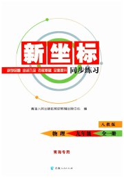 新坐标同步练习九年级物理人教版青海专用