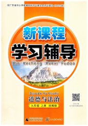 新课程学习辅导九年级道德与法治人教版