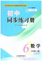同步练习册山东教育出版社六年级数学鲁教版五四制