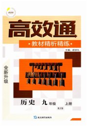 高效通教材精析精练九年级历史人教版