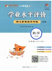 学业水平评价六年级数学人教版