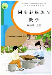 同步轻松练习五年级数学人教版