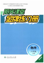 阳光课堂金牌练习册八年级物理人教版精编版
