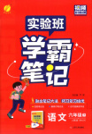 2026年实验班学霸笔记六年级语文下册人教版